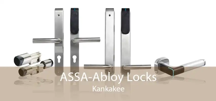 ASSA-Abloy Locks Kankakee