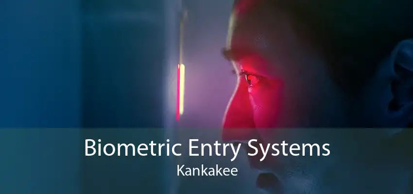 Biometric Entry Systems Kankakee