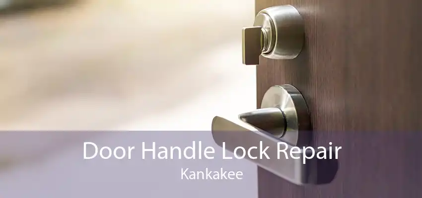 Door Handle Lock Repair Kankakee