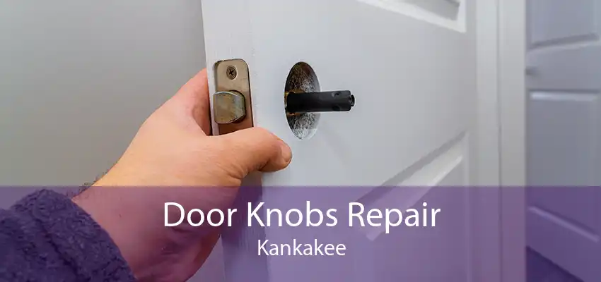 Door Knobs Repair Kankakee