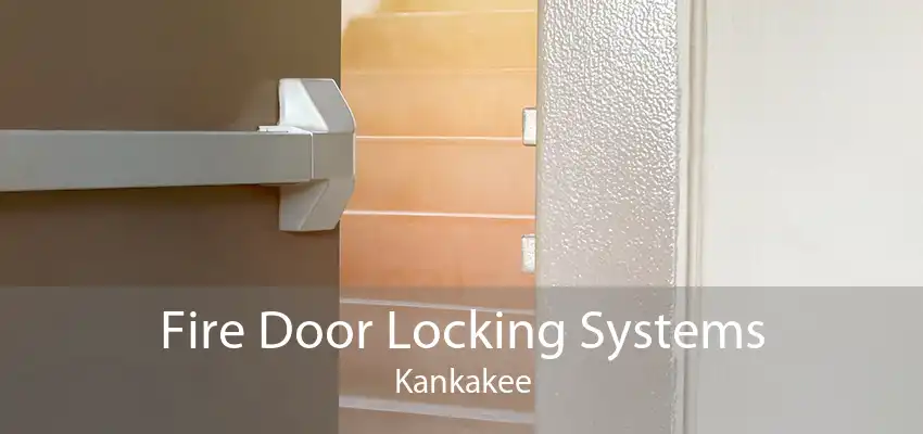Fire Door Locking Systems Kankakee