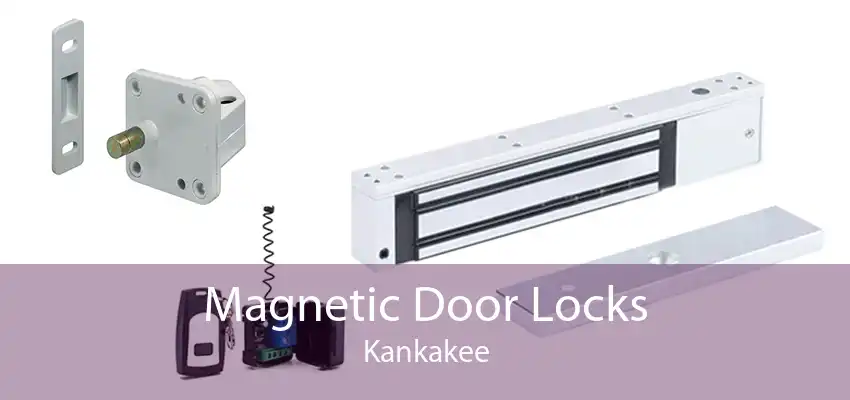 Magnetic Door Locks Kankakee