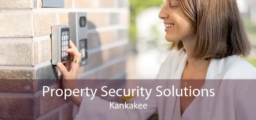 Property Security Solutions Kankakee
