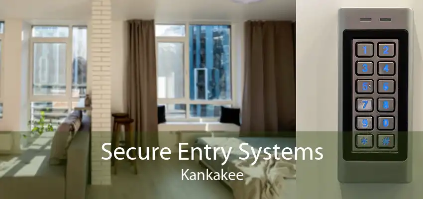 Secure Entry Systems Kankakee
