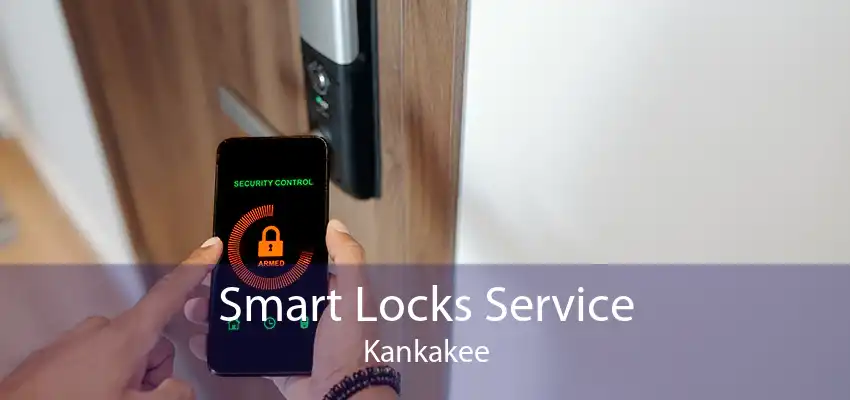 Smart Locks Service Kankakee